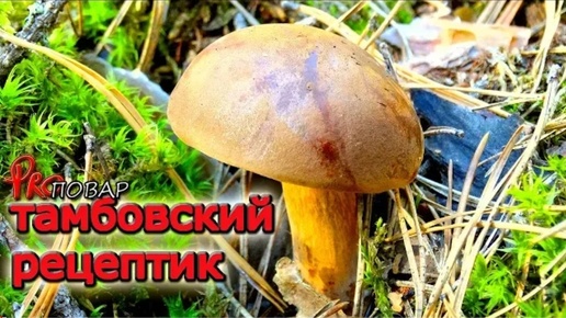 Маринованные польские грибочки. Тамбовский рецептик 🍄