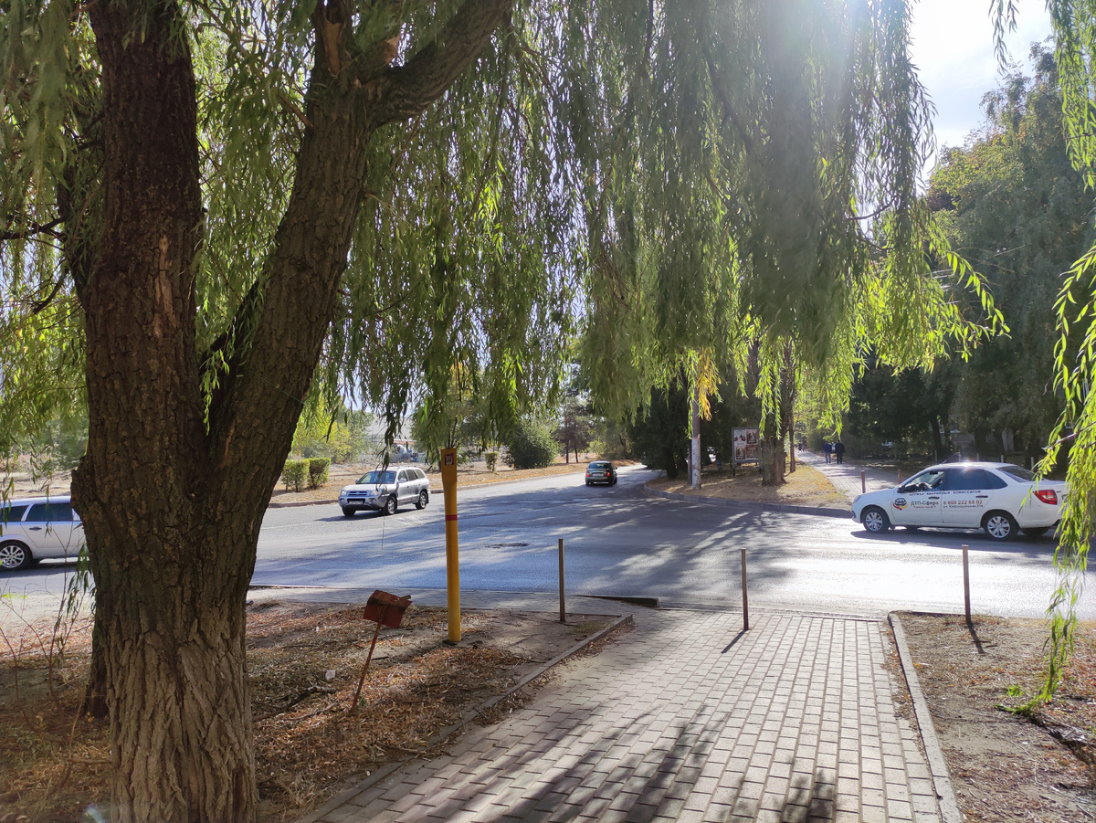 Ветки закрывали пешеходный переход у резкого поворота