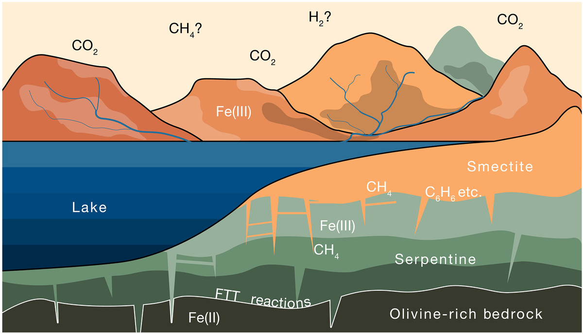   Joshua Murray et al. / Science Advances, 2024