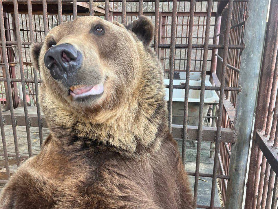    Фото: Telegram/Сочинский географ