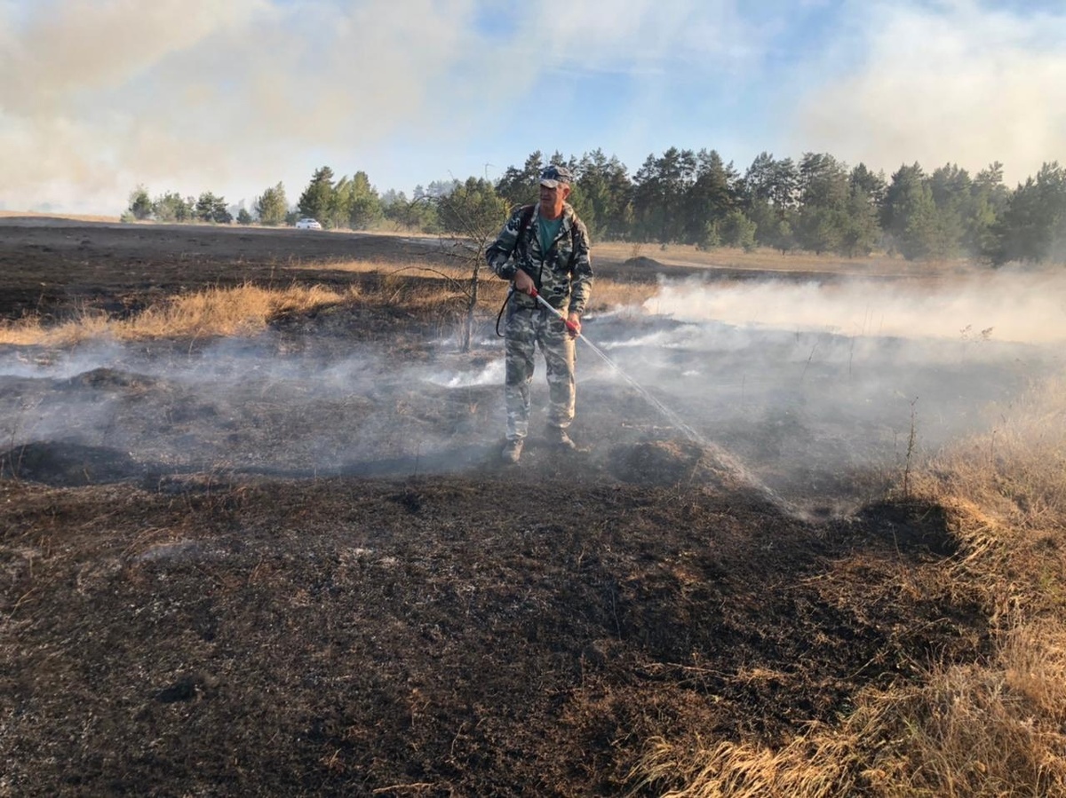    В Курском районе ликвидирована угроза возгорания вблизи гослесфонда