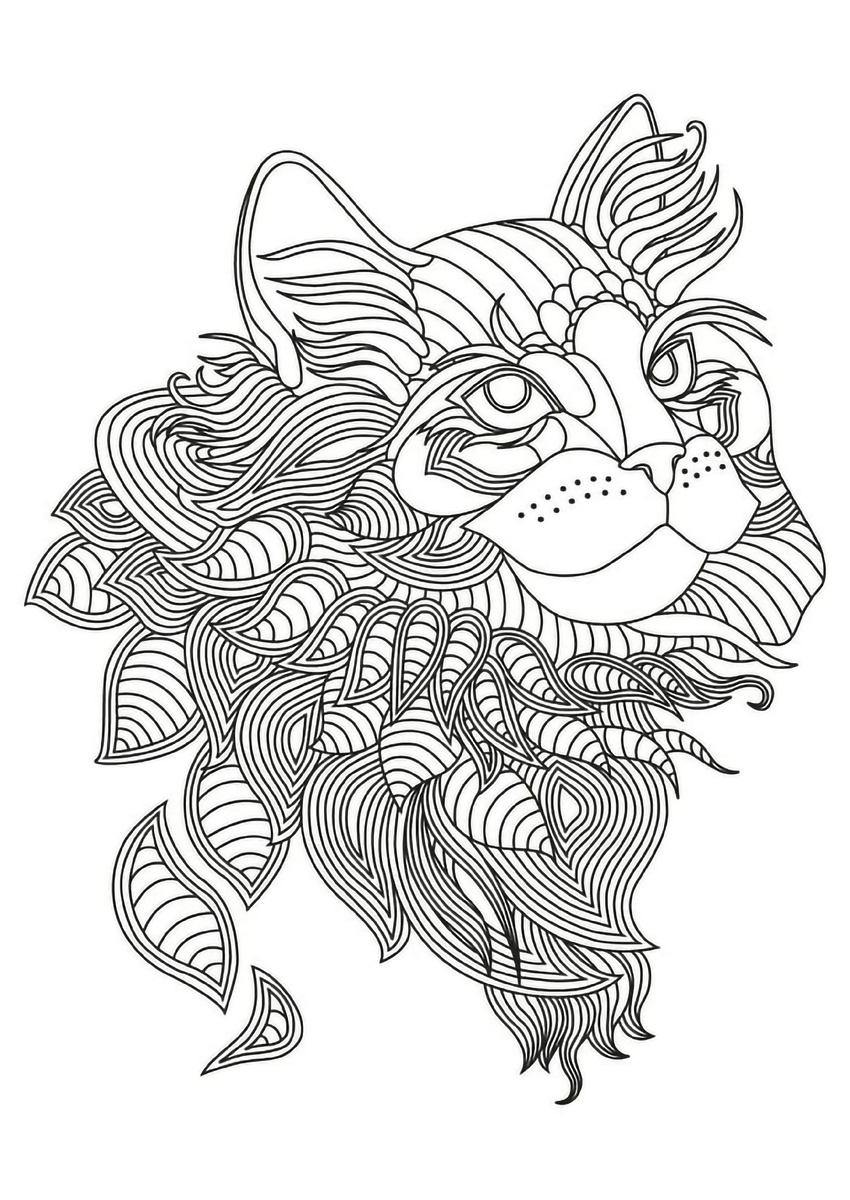 Раскраска для взрослых с красивым котом