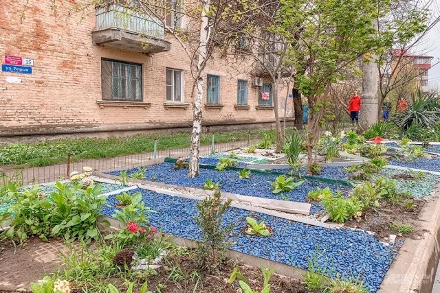    Какие растения чаще всего сажают в полисадниках мурманчане?