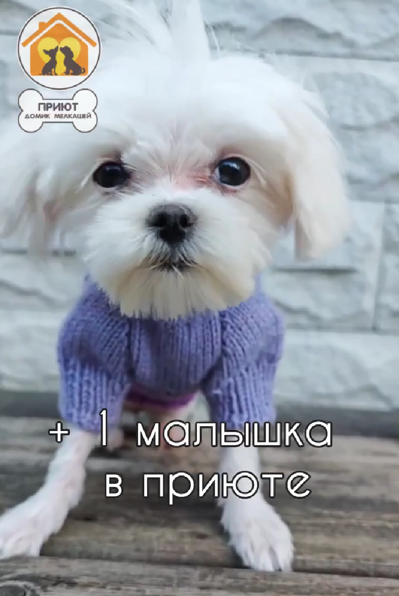 Монро