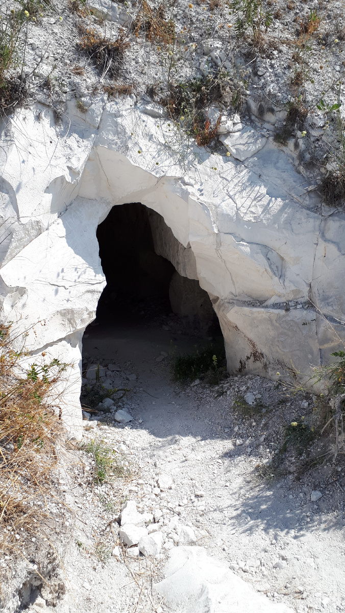 Автор фото - Журавлев А.А.