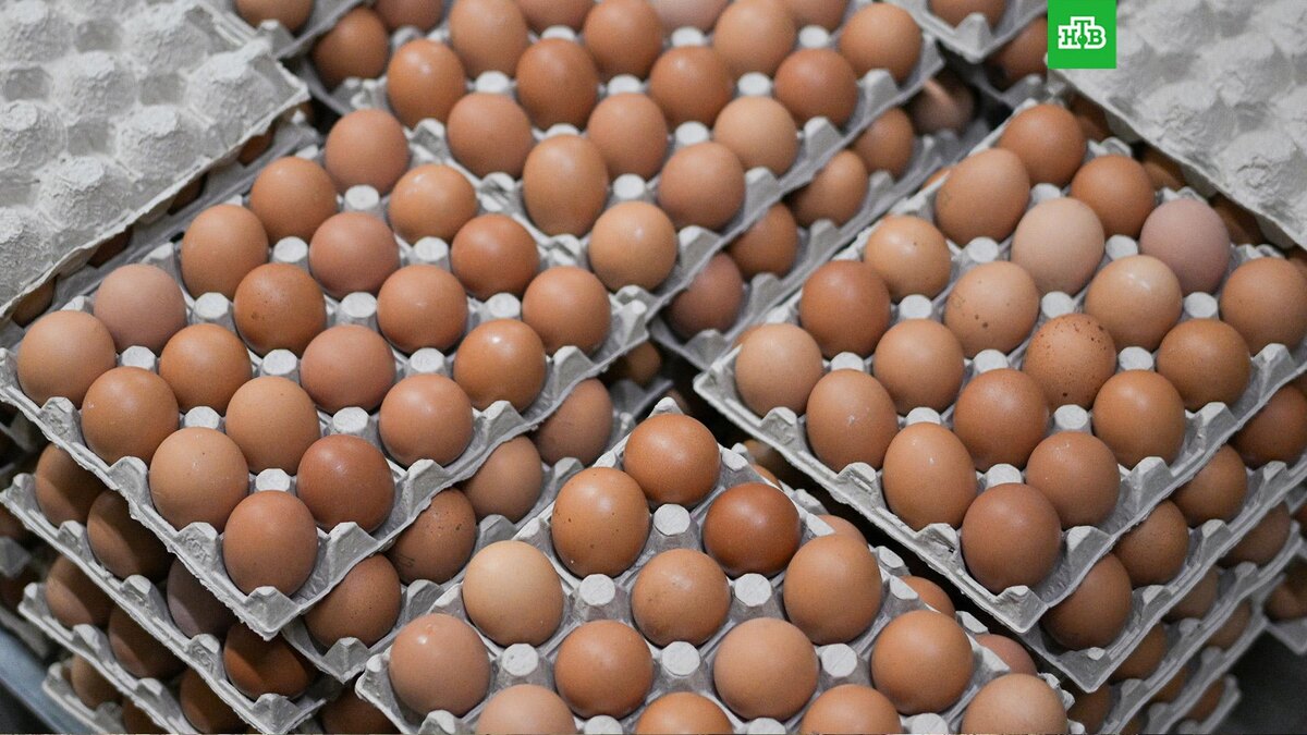    Фото: РИА Новости © 2024, Александр Кряжев