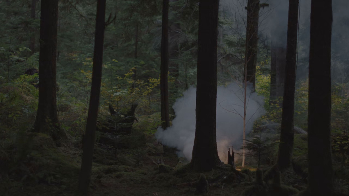  «Твин Пикс»  