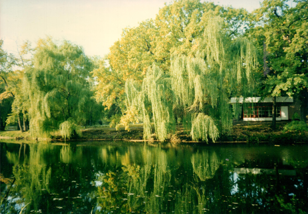 городской парк