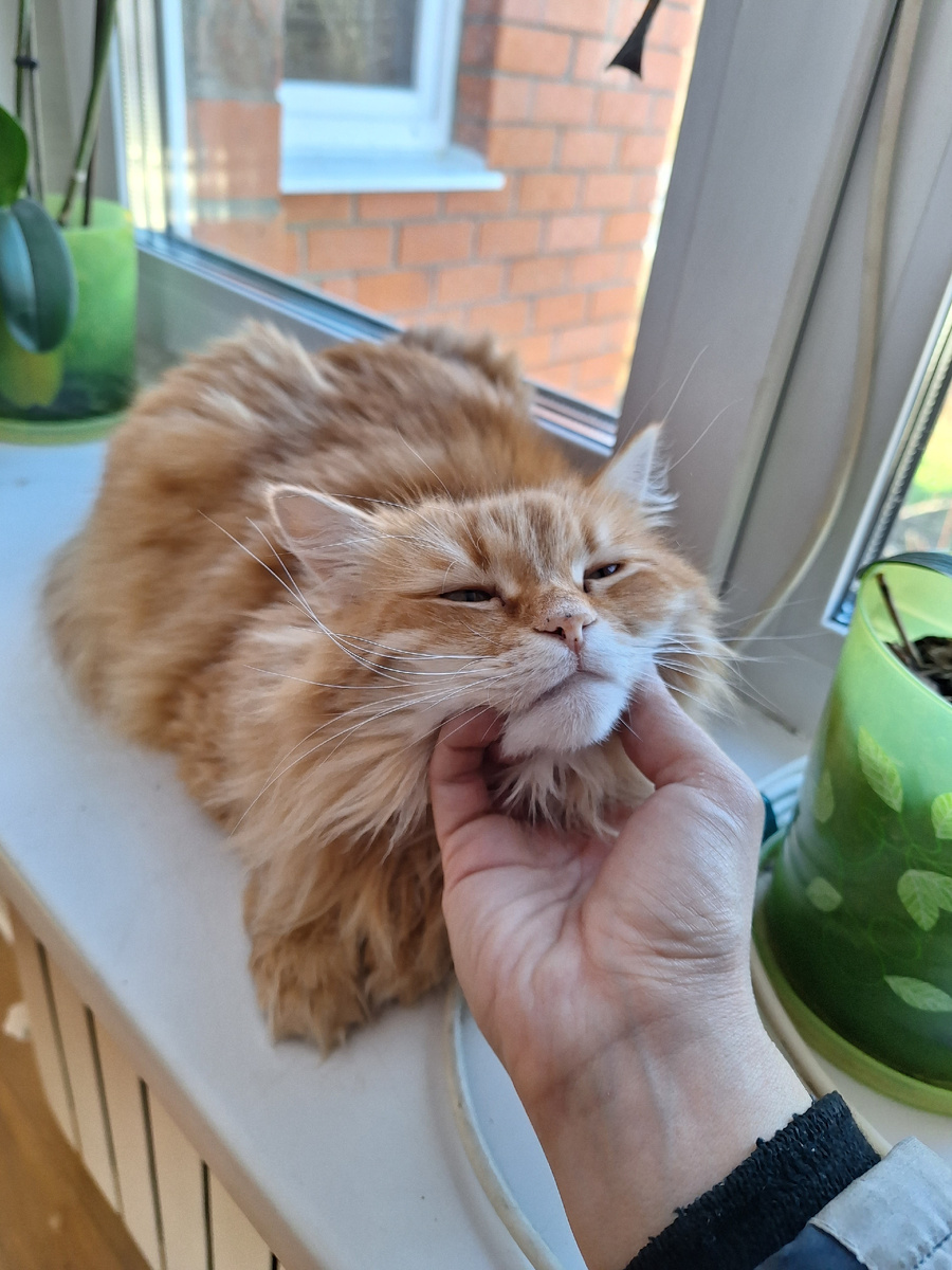 Фото автора. Мурмяунадзор и тыгыдыкконтроль.