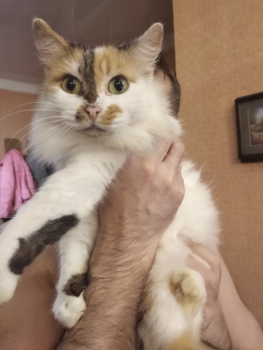 Вот у нее - лапки, и это правильно.