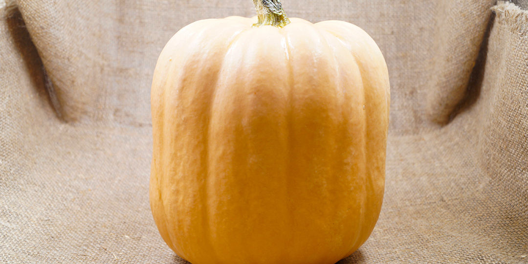 Любимые рецепты с тыквой. ТОП 10