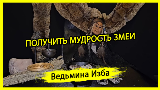 ПОЛУЧИТЬ МУДРОСТЬ ЗМЕИ. ДЛЯ ВСЕХ. #ВЕДЬМИНАИЗБА ▶️ #МАГИЯ