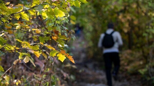    © РИА Новости Крым . Дмитрий Макеев