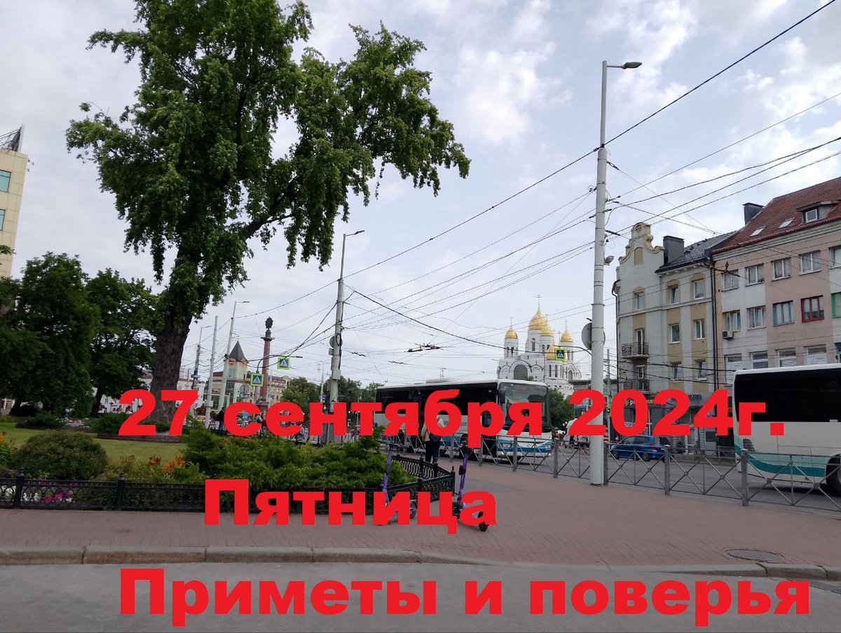 На фото автора-Калининград