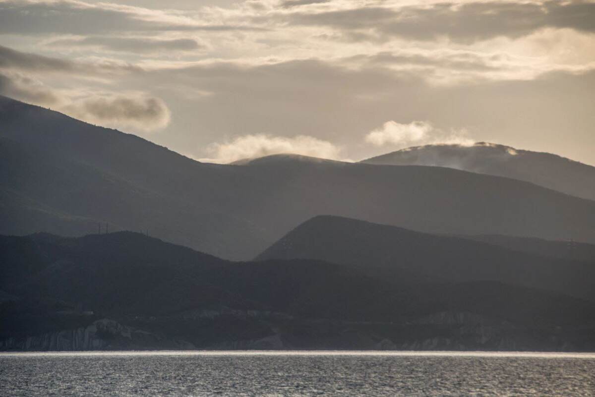 Четкие линии жизни