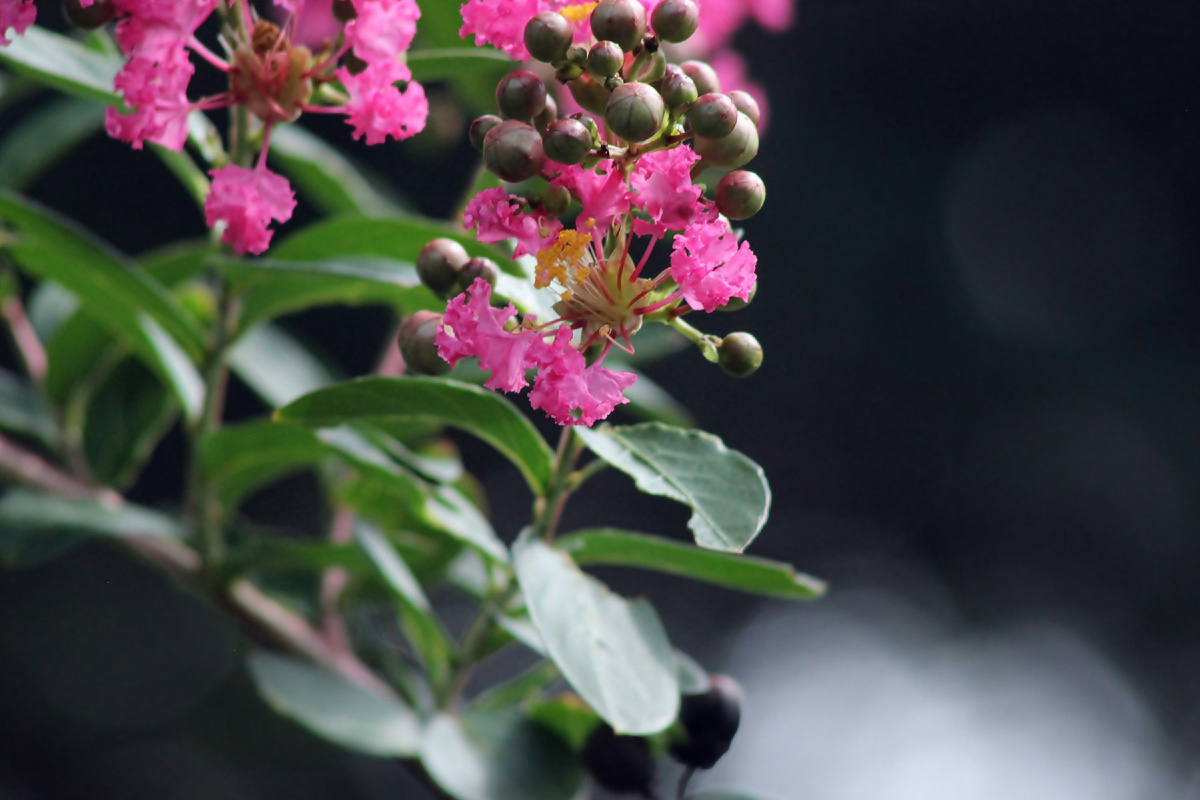 Картинка с бесплатного фотостока https://unsplash.com, автор Allison Jones