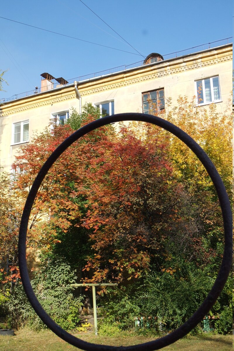 тигр осени уже изготовился к прыжку!..