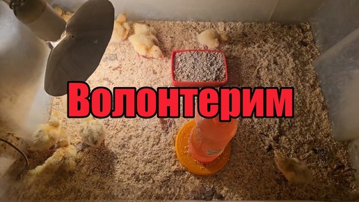 Новое поколение》Все померзло》Где яйца?