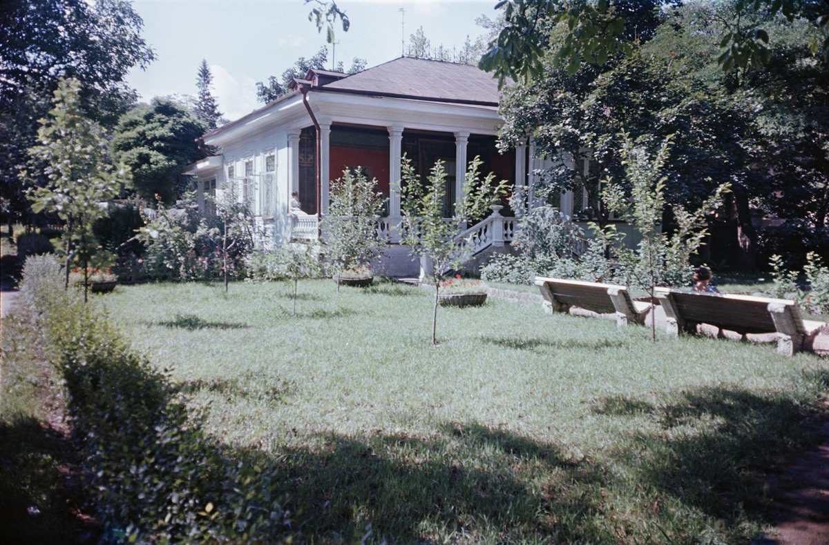 изображение из открытых источников