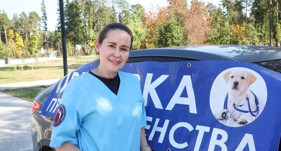    Администрация городского округа Балашиха