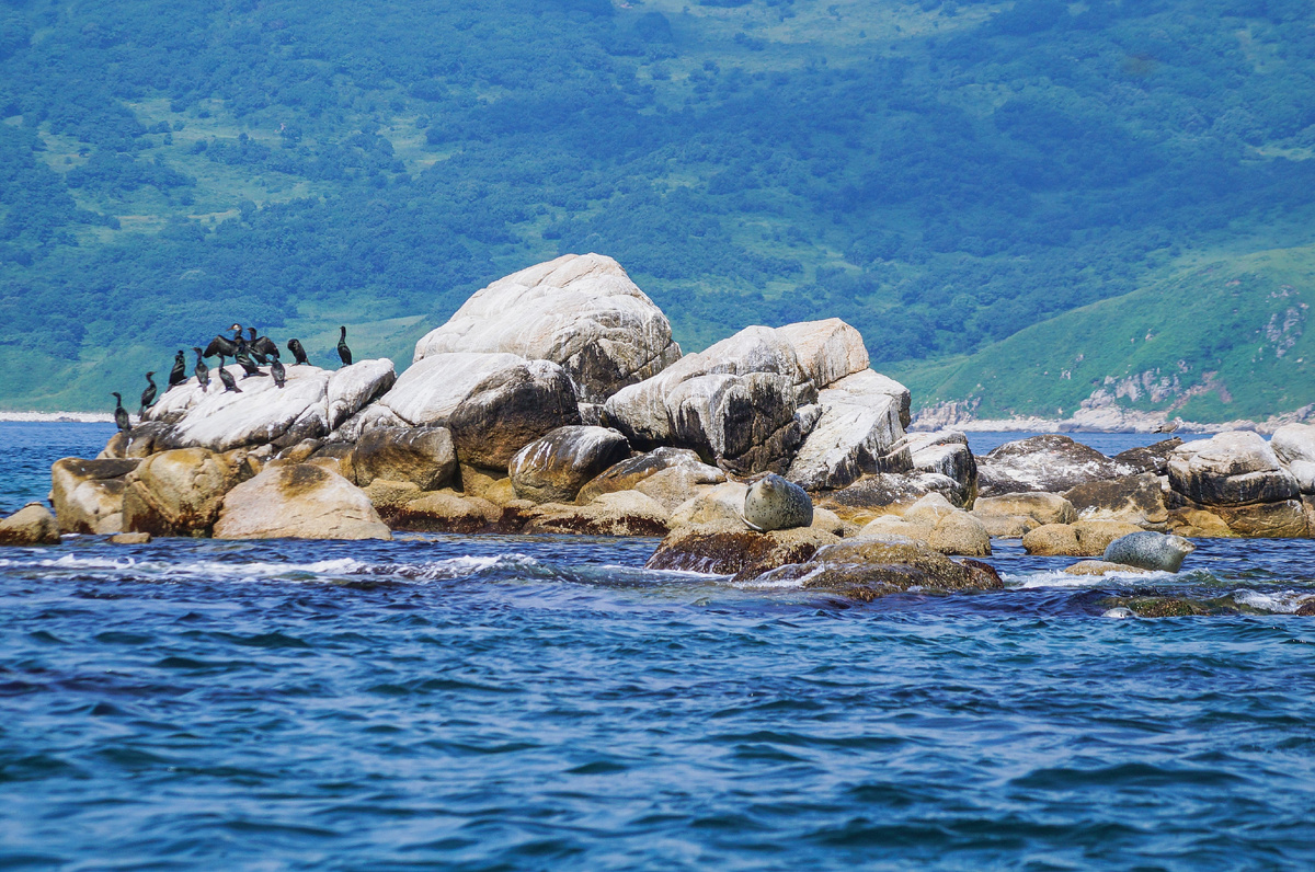 Камни Михельсона