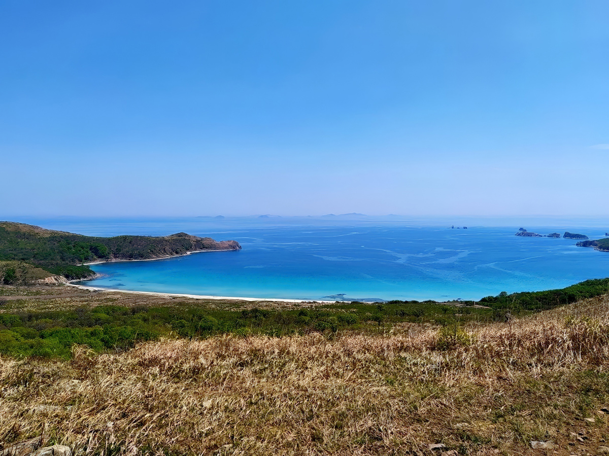 Дальневосточный морской заповедник. Бухта Асафьева