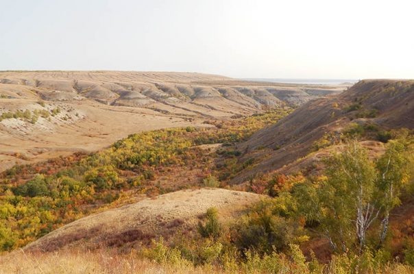    Природный парк «Щербаковский». Сентябрь