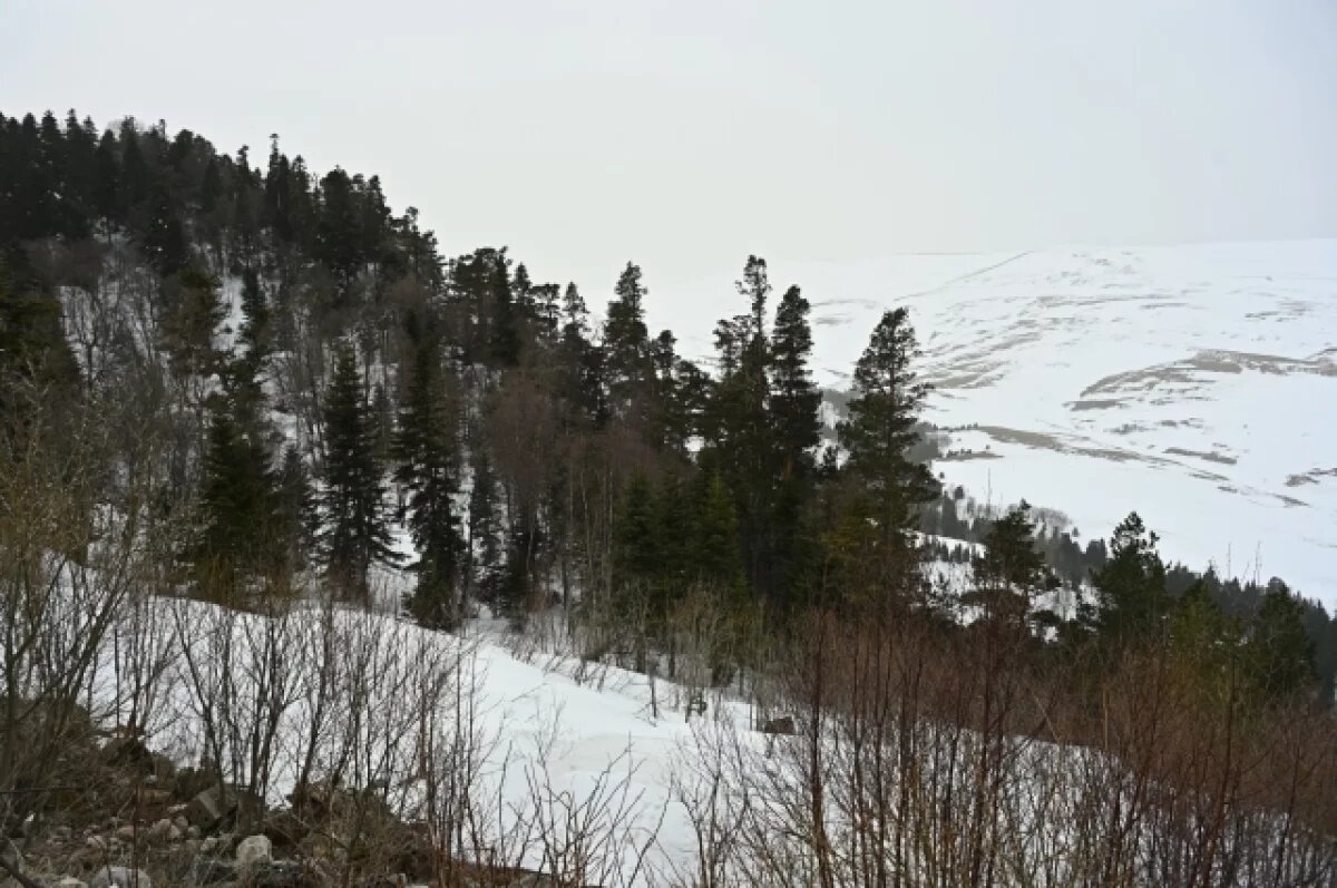    Поход за смертью.