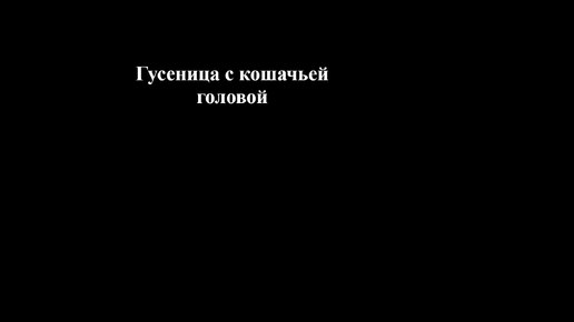 Гусеница бабочки с кошачьей головой удивительная мимикрия