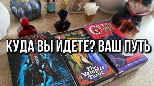 КУДА ВЫ ИДЕТЕ? ВАШ ПУТЬ 🐈‍⬛ гадание на таро Tarot Reading