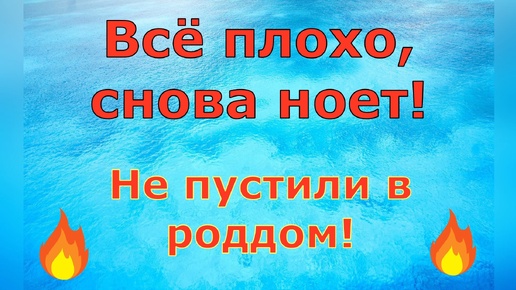 Деревенский дневник очень многодетной мамы \ Всё плохо, снова ноет! Не пустили в роддом! \ Обзор