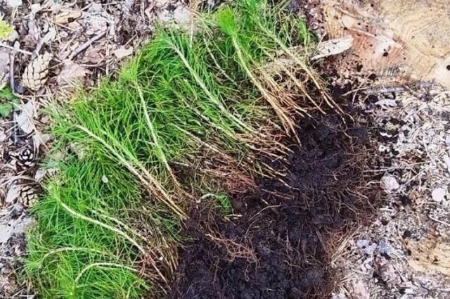    Фото: пресс-служба СвЖД