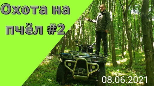 ОХОТА НА ПЧЕЛ # 2 КРАСОТА УЦЕЛЕВШЕГО ЛЕСА