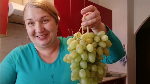 Открыла сезон винограда☺️🍇