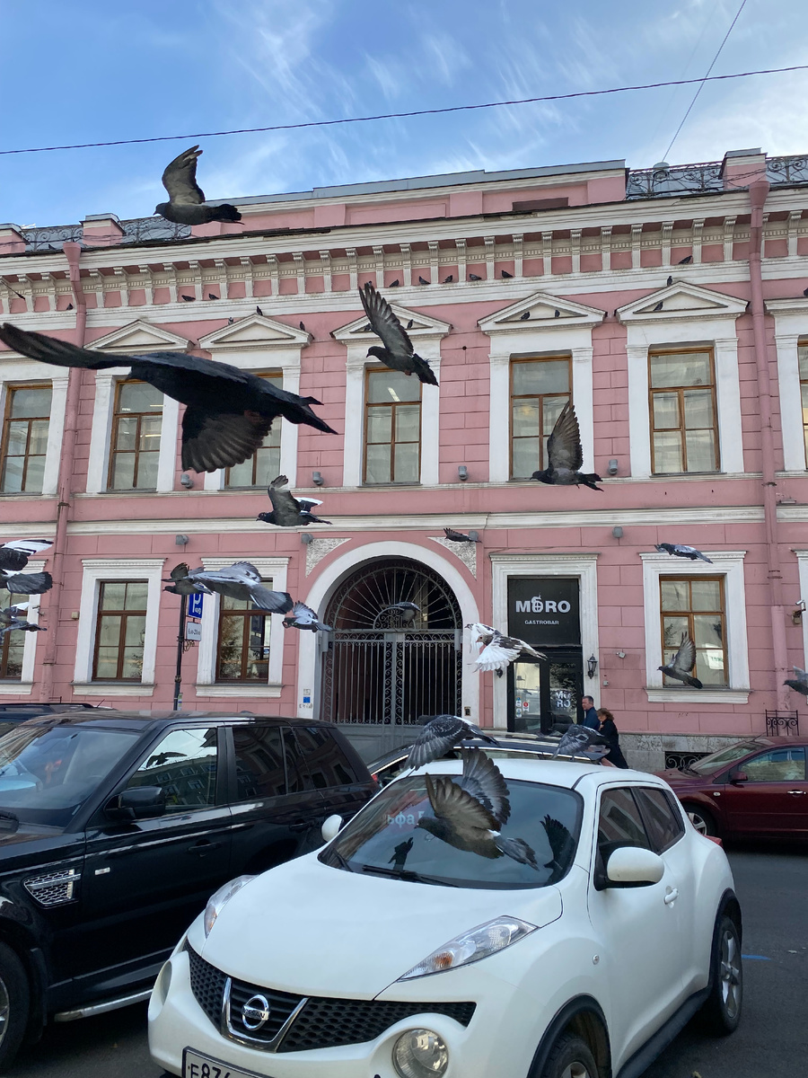 Фасад особняка. Фото: Алиса в Петербурге