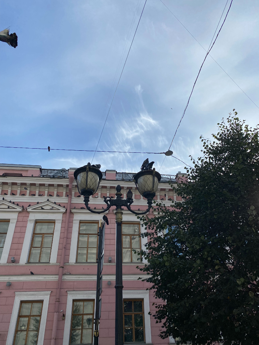 Фасад особняка. Фото: Алиса в Петербурге