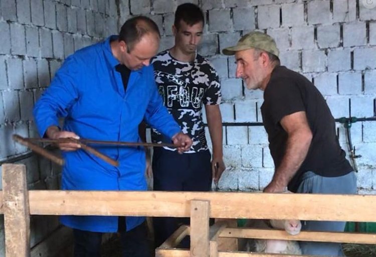    С молочным овцеводством Дагестана ознакомились ученые ВНИИОК в передовом хозяйстве