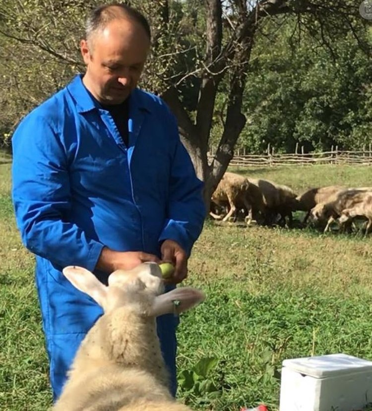     С молочным овцеводством Дагестана ознакомились ученые ВНИИОК в передовом хозяйстве
