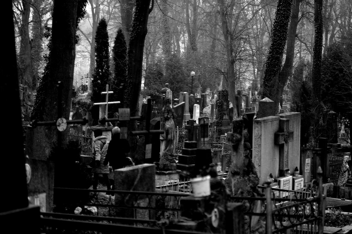    Фото: Сергей Егоров