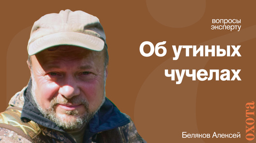 Охота на уток. Алексей Беляков о том, какие бывают чучела.