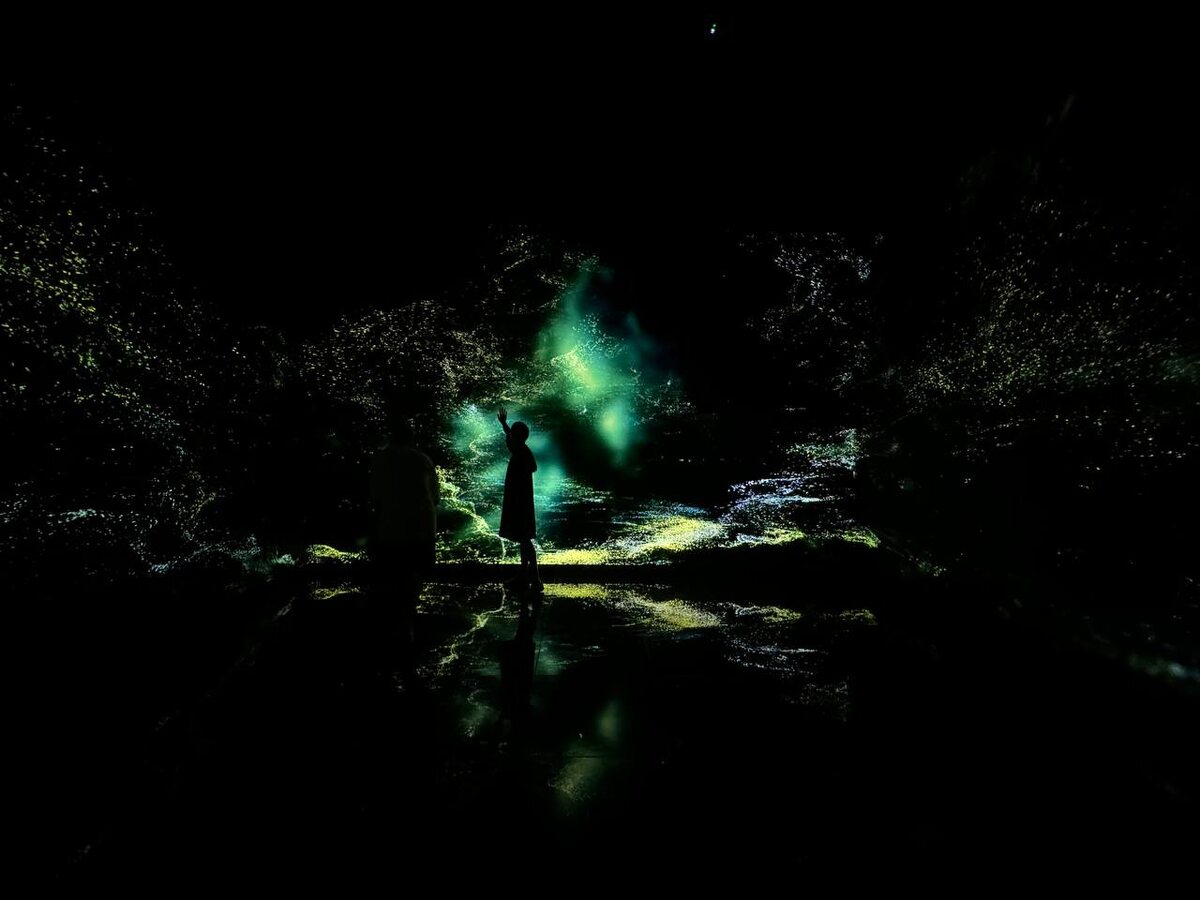    В арт-пространстве Luminar открылась новая экспозиция (фото 2)