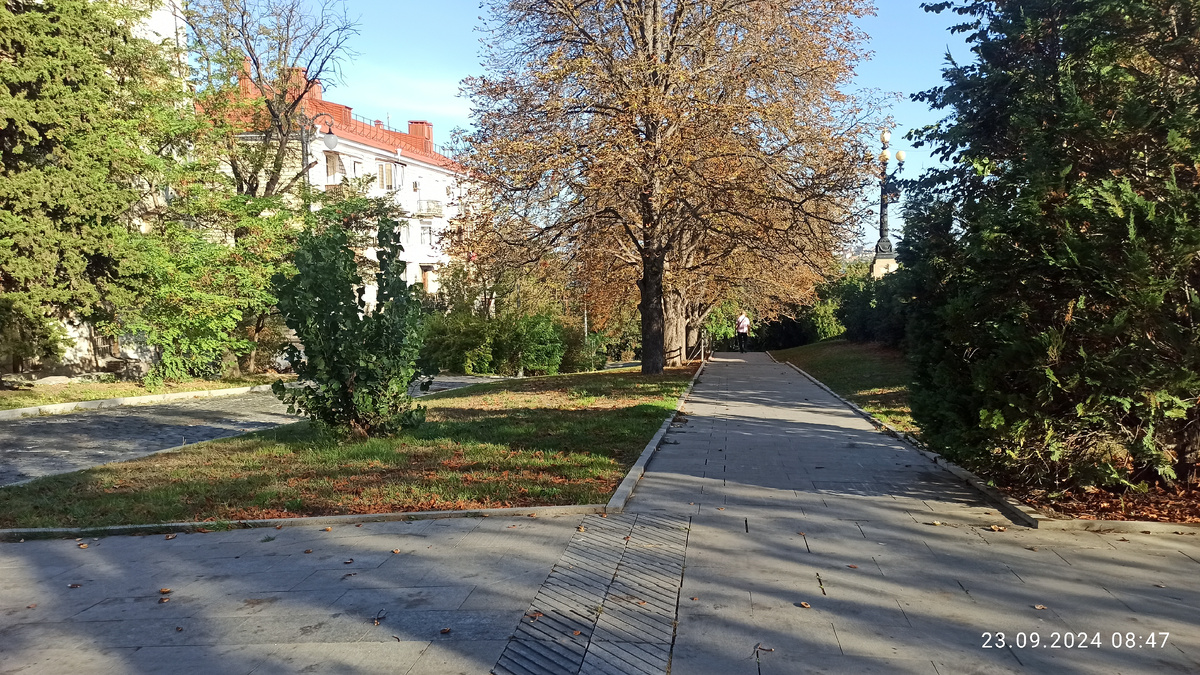 Центр