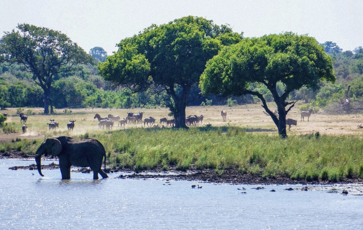 National Park is the oldest and Most famous nature reserve  in South Africa, one of the larges National parks in the world. 