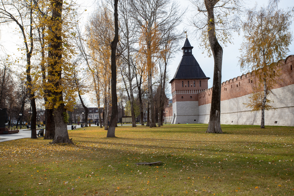 Фото: Тульская служба новостей