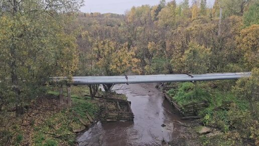 216/ снег в лицо, а я еду/ не видела этого/на участок/