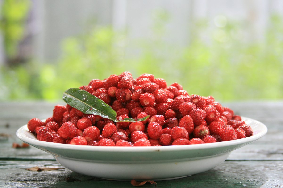 Яндекс. Картинки