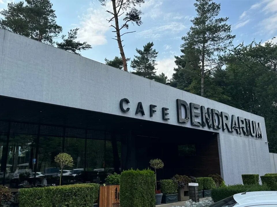 Вход в дендрарий находится недалеко от входа в ресторан. Фото: brain-wav / Яндекс Карты