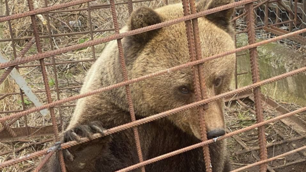    Прокуратура Ленобласти