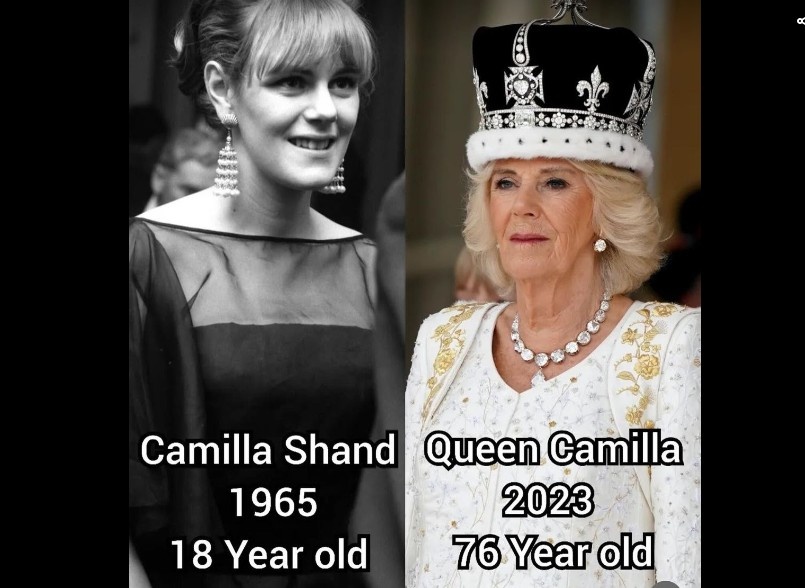 из росграма