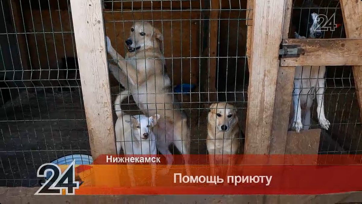 Скриншот из видеосюжета